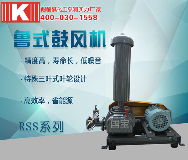 RSS魯式鼓風(fēng)機(jī) RSS魯式鼓風(fēng)機(jī)